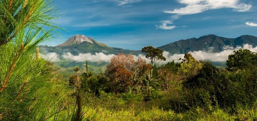 Bengkulu Apo