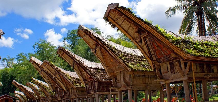 Tana Toraja